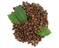 Caffeine